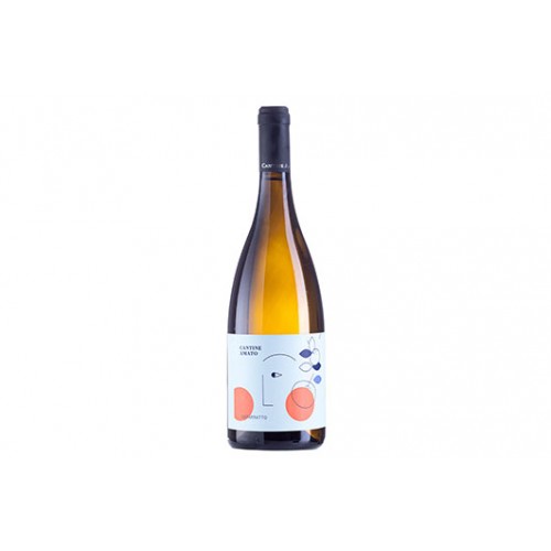 L 0,75 CATARRATTO BIO 12,5 DOC AMATO...